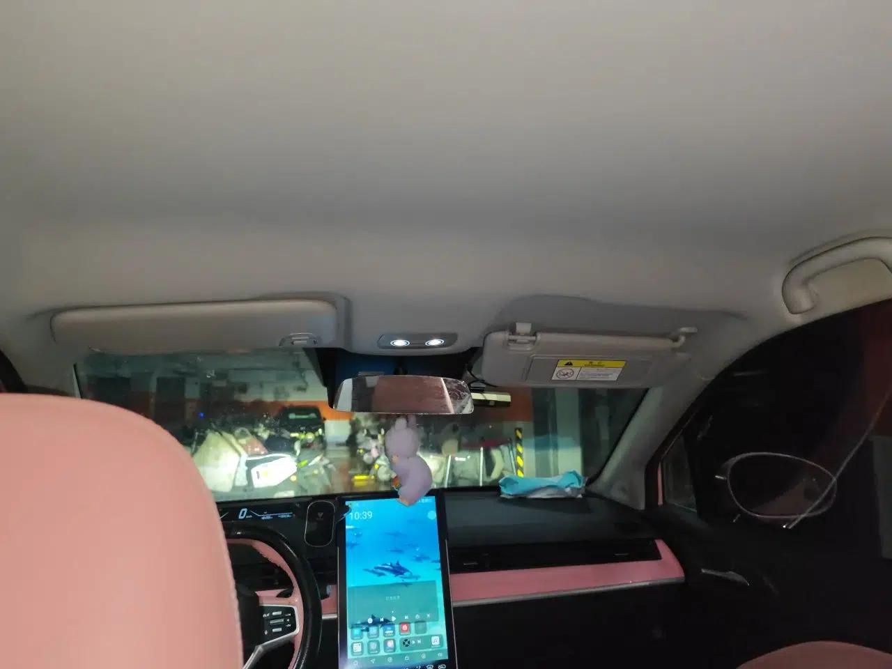 NETA V 2022 Chao 400 Lite Pink Custom Edition — миниатюра 15