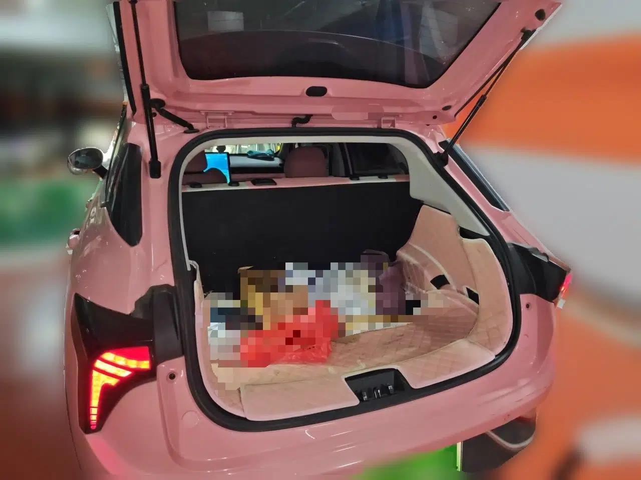NETA V 2022 Chao 400 Lite Pink Custom Edition — миниатюра 16