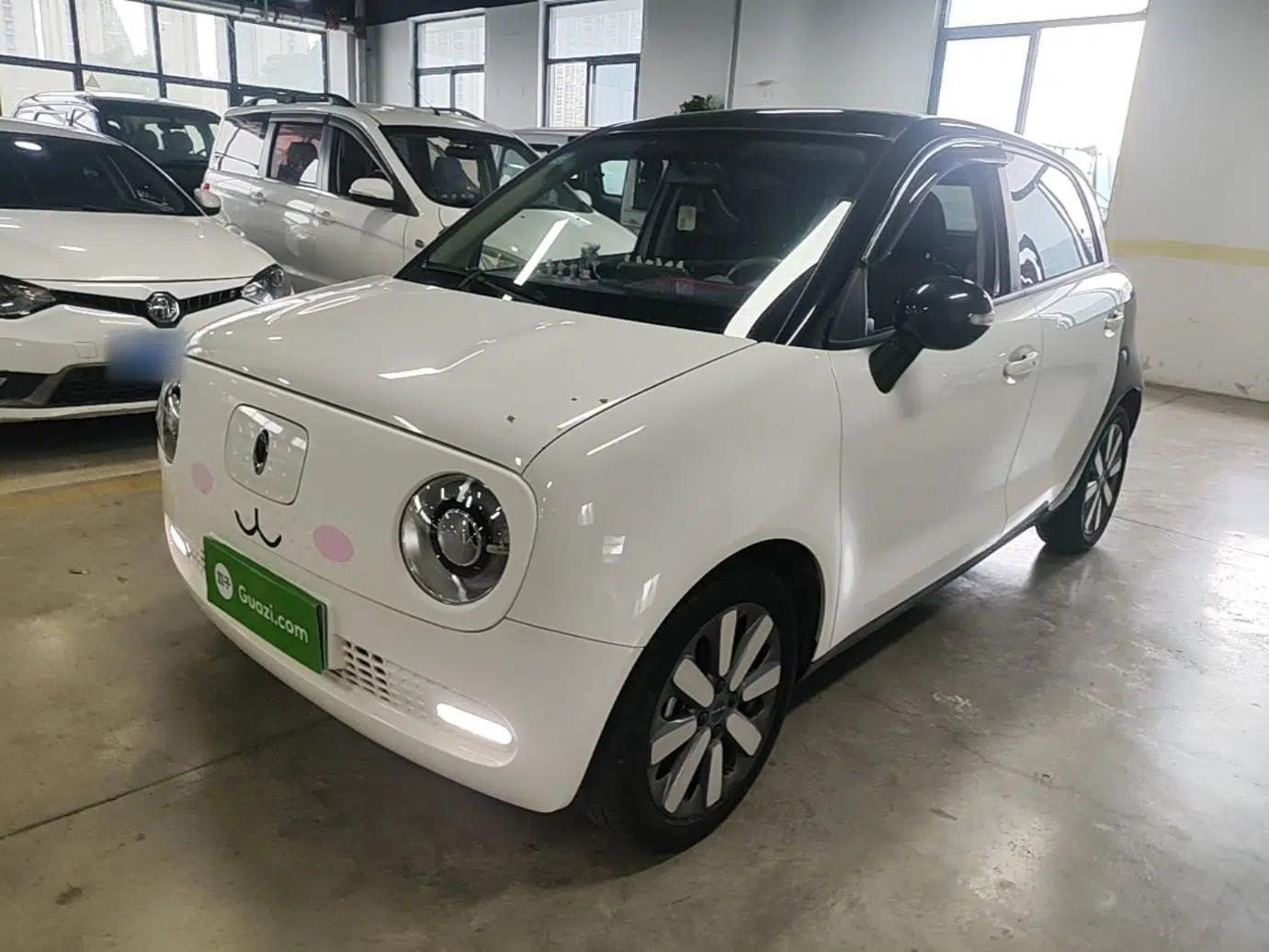 ORA Black Cat 2021 351 km Standard Version — миниатюра 1