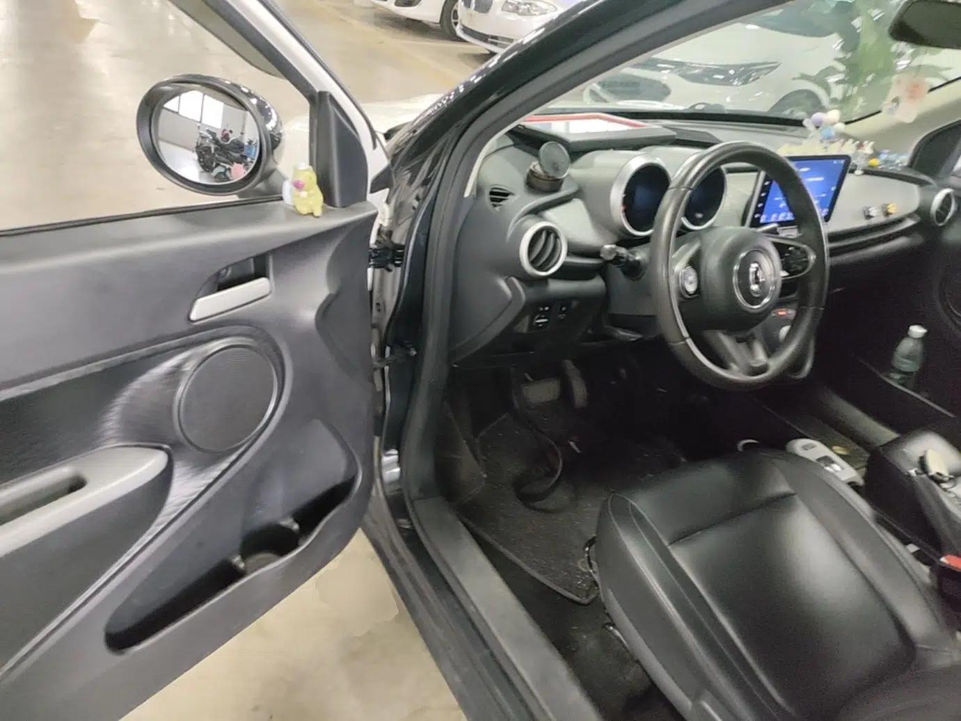 ORA Black Cat 2021 351 km Standard Version — миниатюра 18