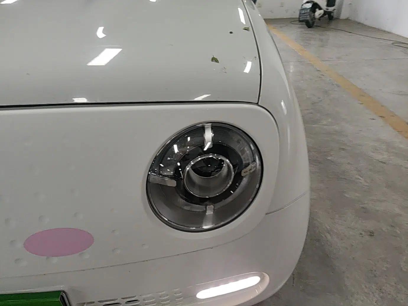 ORA Black Cat 2021 351 km Standard Version — миниатюра 8