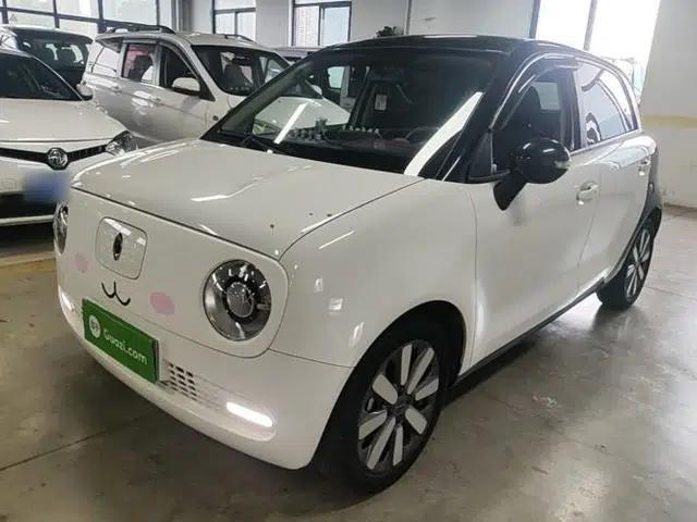 ORA Black Cat 2021 351 km Standard Version