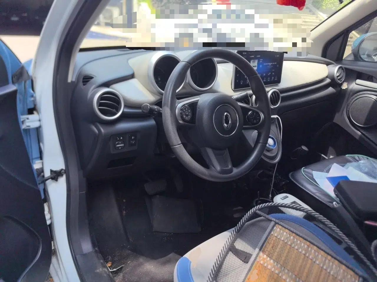 ORA Black Cat 2019 301km Standard Edition — миниатюра 10