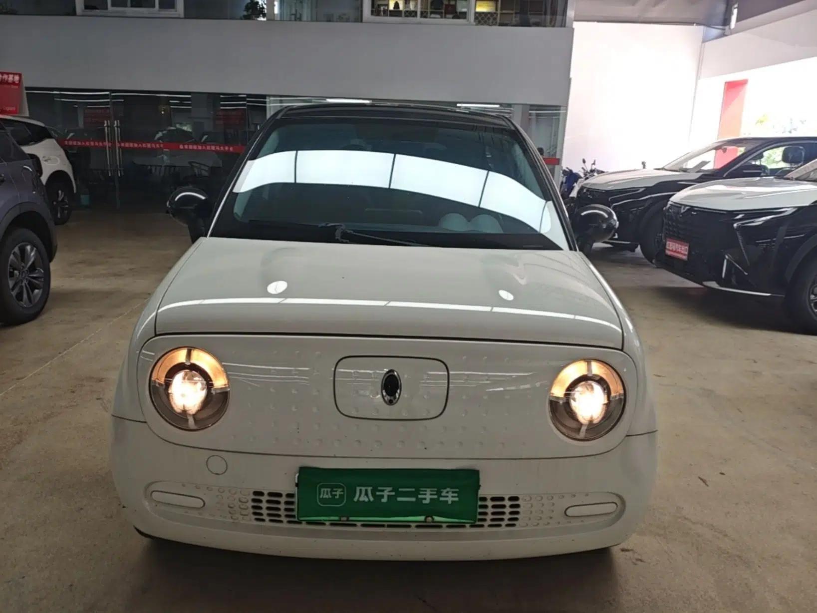 ORA Black Cat 2021 301 km Basic Version — миниатюра 2