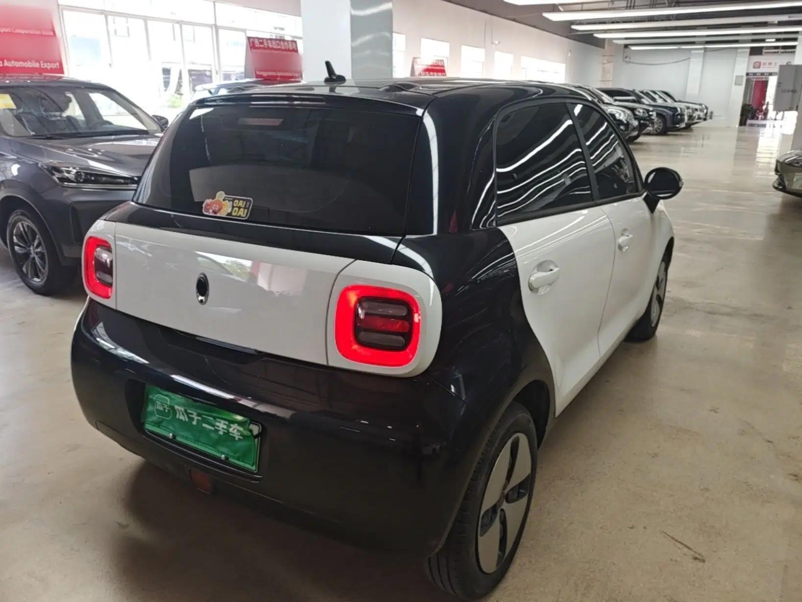 ORA Black Cat 2021 301 km Basic Version — миниатюра 6
