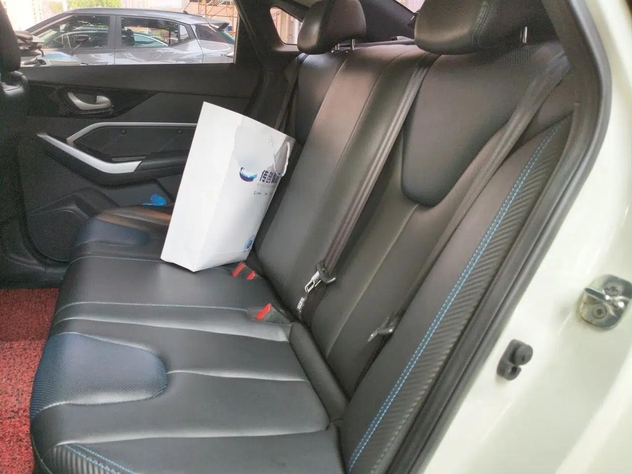 Venucia D60EV 2022 Standard Range Comfort Edition — миниатюра 17