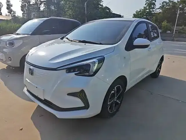 Changan Benben E-Star 2020 Heartfelt Edition Lithium Iron Phosphate (31.18kWh)