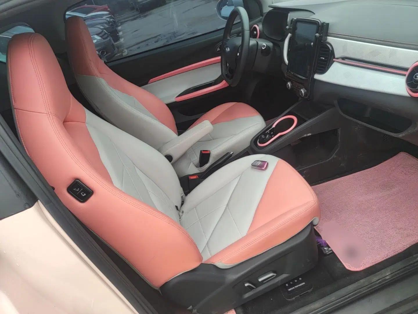 Chery QQ Little Ant 2022 Restyled Version Sweet Pink Edition Low-Sugar Version Lithium Iron Phosphate Battery 30.7 kWh 30 kW 301 km — миниатюра 19
