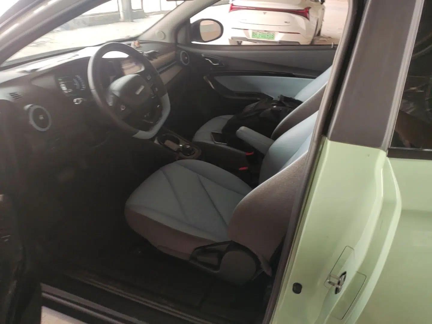 Chery QQ Little Ant 2022 Sweet Pink Edition Half-Sugar Version 3-Cell Lithium 30kW 301km — миниатюра 17