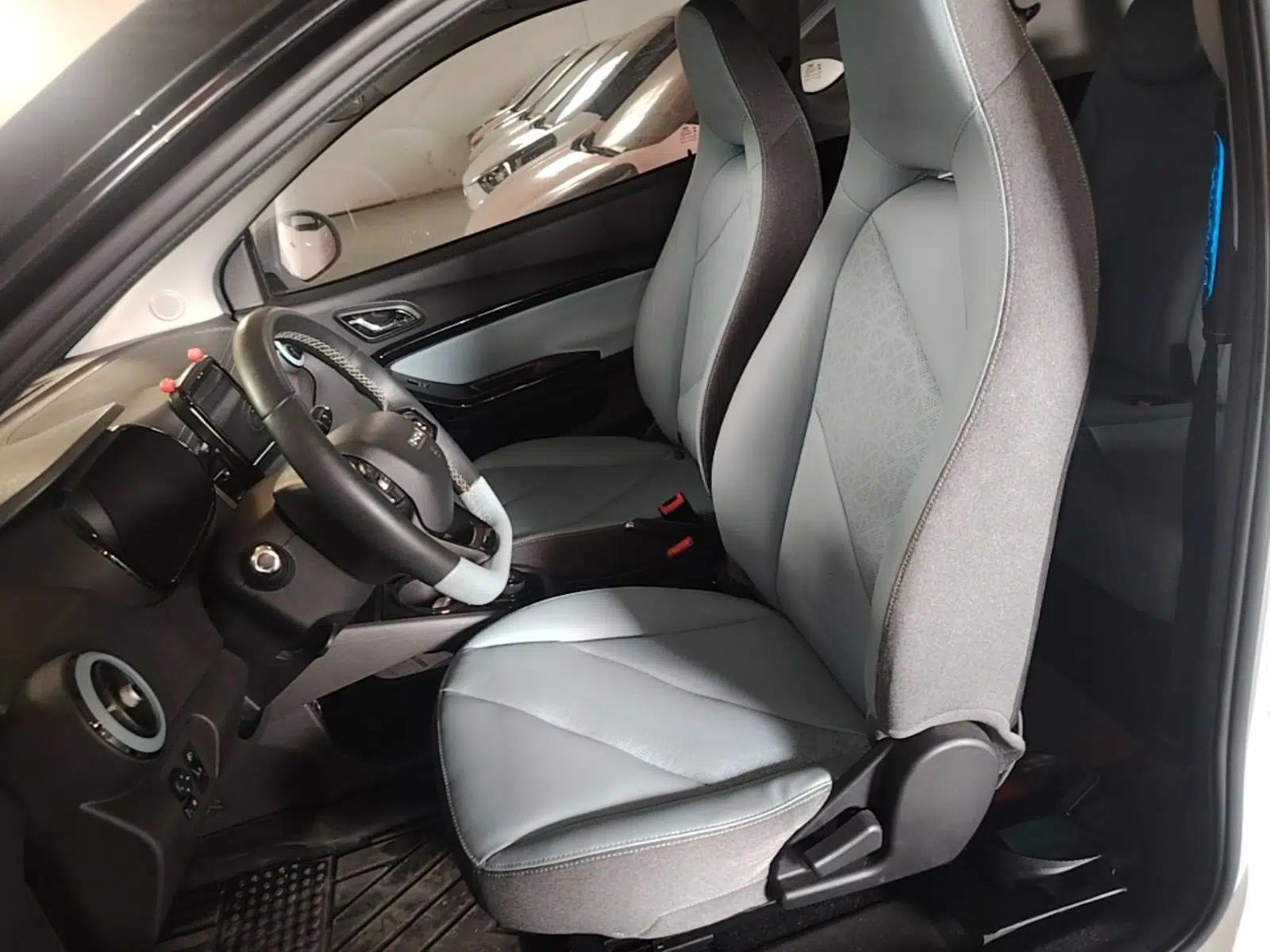 Chery QQ Little Ant 2022 Sweet Pink Edition Low-Sugar Version 30kW 301km Range — миниатюра 17