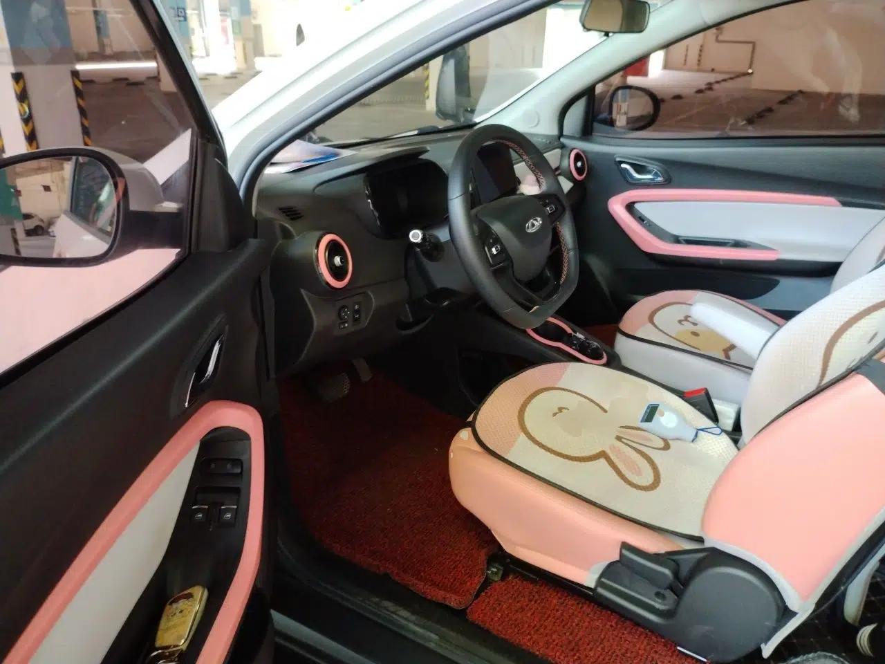 Chery QQ Little Ant 2023 Updated Version 251 km Love Edition Lithium Iron Phosphate — миниатюра 16