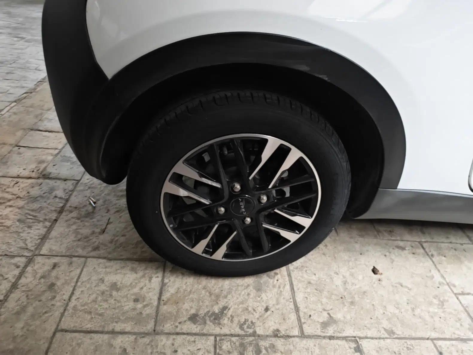 Chery QQ Little Ant 2022 Sweet Pink Edition Half-Sugar Version Lithium Iron Phosphate 30 kW 301 km — миниатюра 11