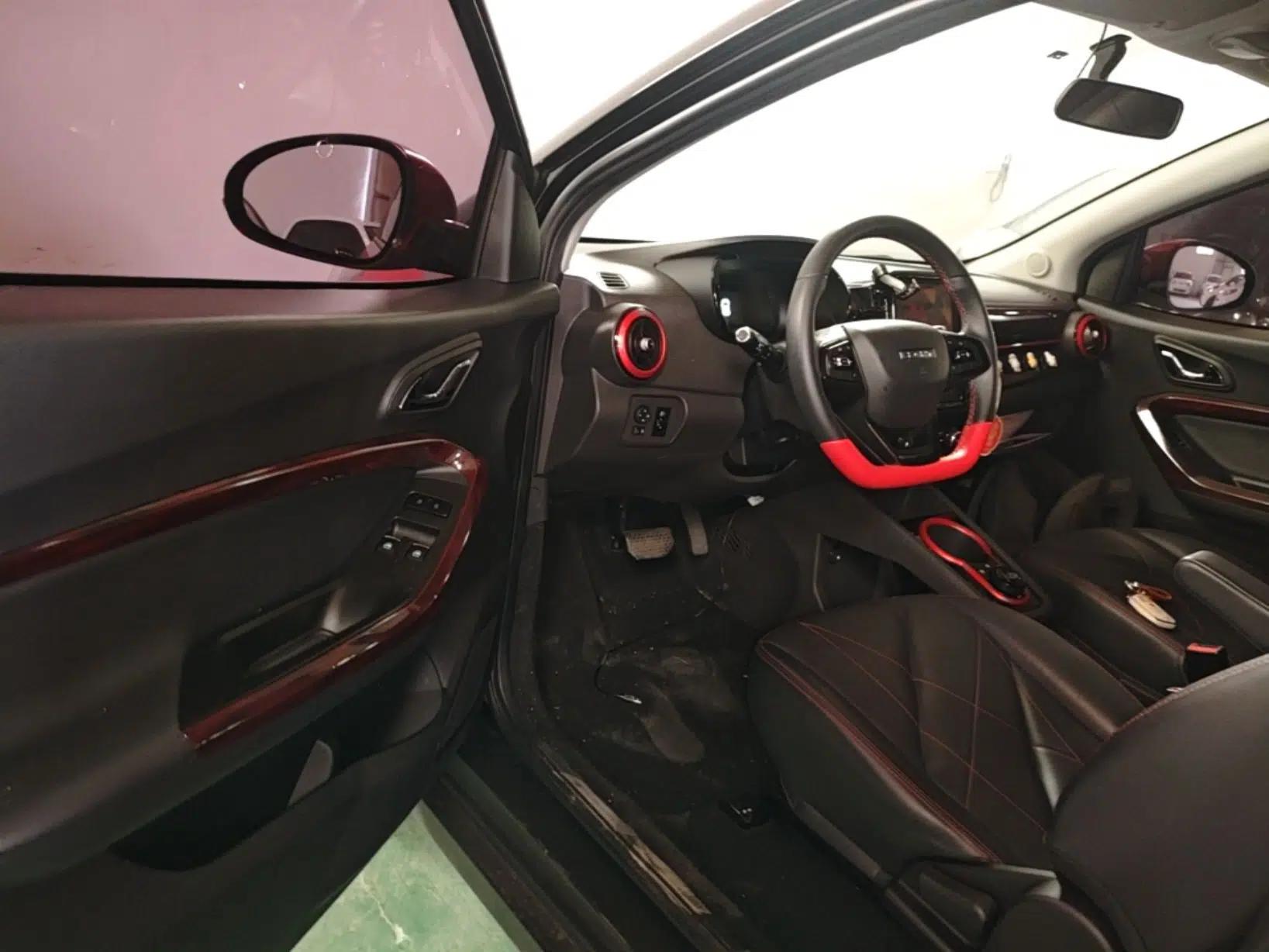 Chery QQ Little Ant 2022 Sweet Pink Edition Half-Sugar Version Lithium Iron Phosphate 30 kW 301 km — миниатюра 18