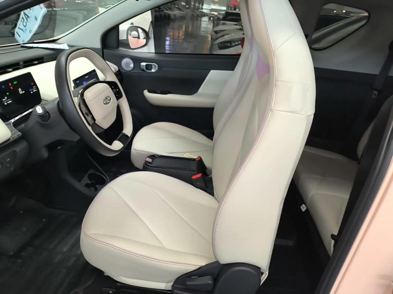 Chery QQ Little Ant 2024 Refreshed Version Youth Edition 321 km Beloved Edition 29.23 kWh — миниатюра 22