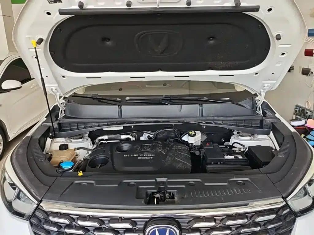 Changan CS55 2018 1.5T Automatic Colorful Edition (National V Emission Standard) — миниатюра 20