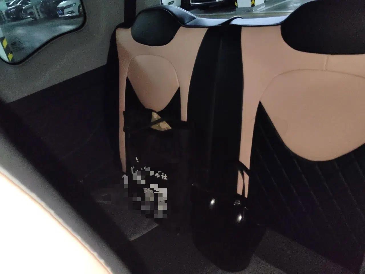 Chery QQ Ice Cream 2022 170km Sundae Phosphate Lithium-Ion — миниатюра 17