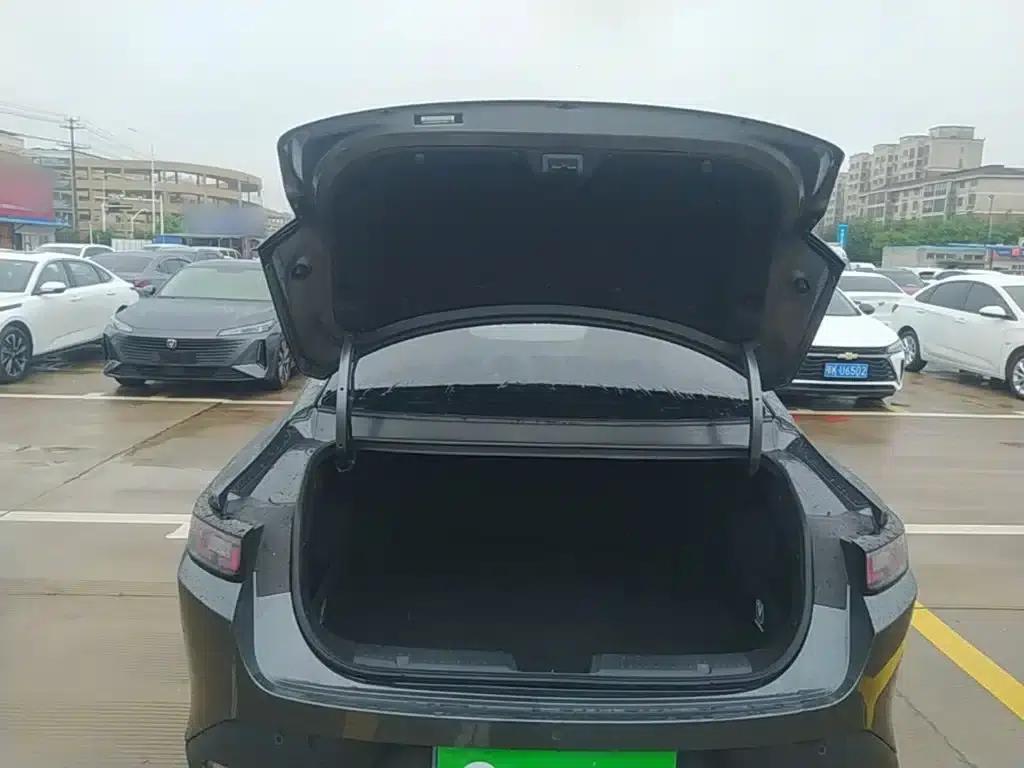 Yida 2023 Blue Whale NE 1.5T GDI DCT Premium Edition — миниатюра 19