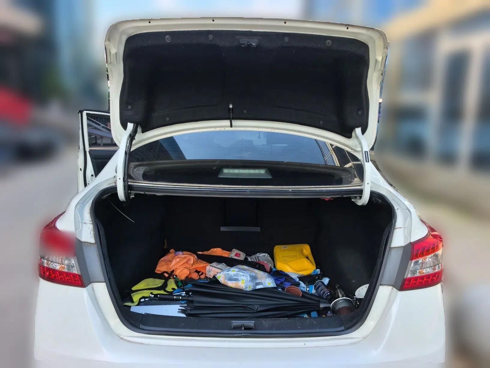Nissan Sylphy 2014 1.6XV CVT Deluxe Edition — миниатюра 19