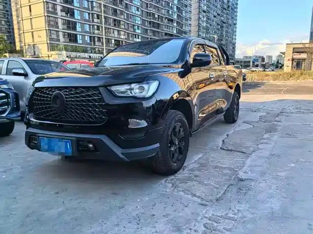 Cannon 2019 2.0T Commercial Version Manual Diesel 2WD Elite Long Box GW4D20M