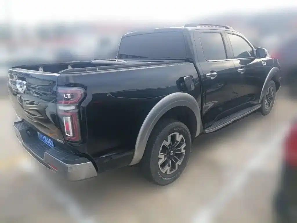 Cannon 2021 2.0T Passenger Global Edition Automatic Gasoline 4WD Premium Standard Box GW4C20B — миниатюра 12