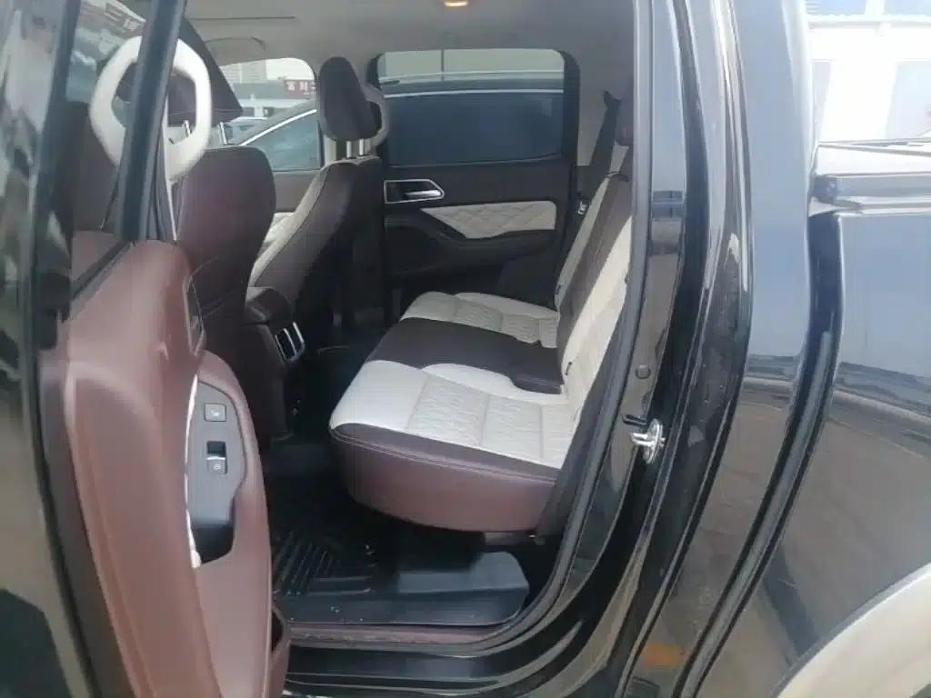 Cannon 2021 2.0T Passenger Global Edition Automatic Gasoline 4WD Premium Standard Box GW4C20B — миниатюра 24