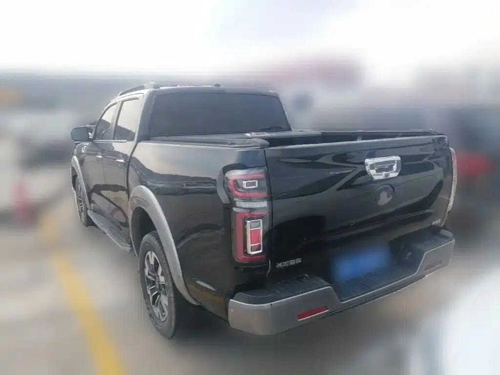 Cannon 2021 2.0T Passenger Global Edition Automatic Gasoline 4WD Premium Standard Box GW4C20B — миниатюра 9