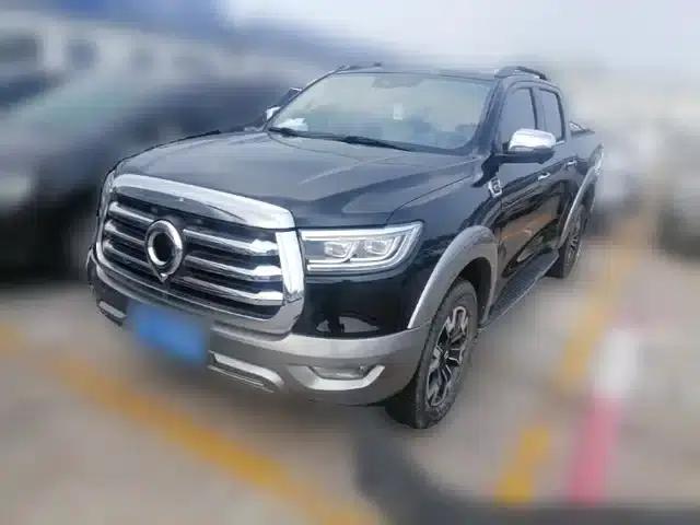 Cannon 2021 2.0T Passenger Global Edition Automatic Gasoline 4WD Premium Standard Box GW4C20B