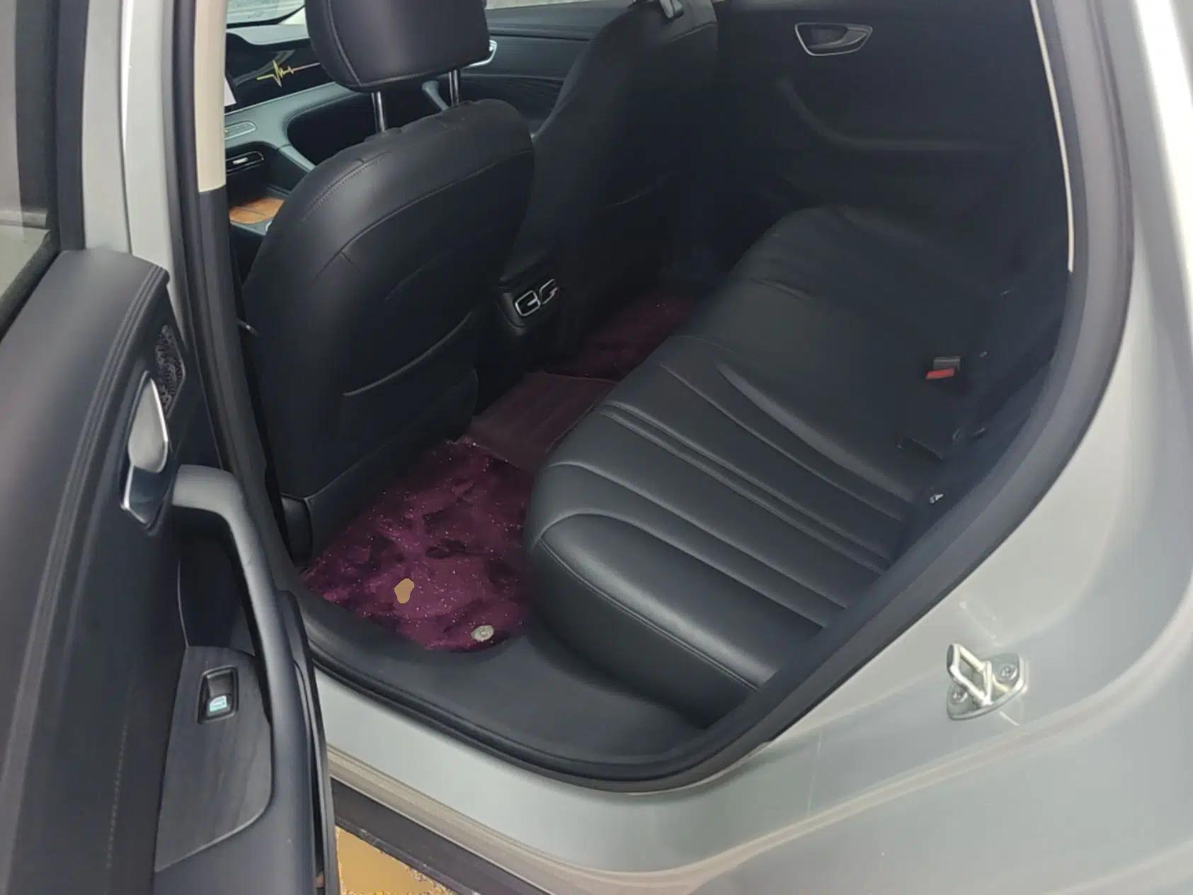 Roewe D7 2025 DMH 125km World Champion Edition — миниатюра 20