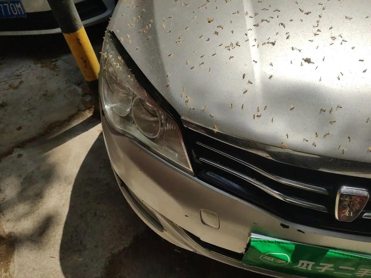 Roewe 350 2012 1.5L Automatic Smart Value Edition — миниатюра 7