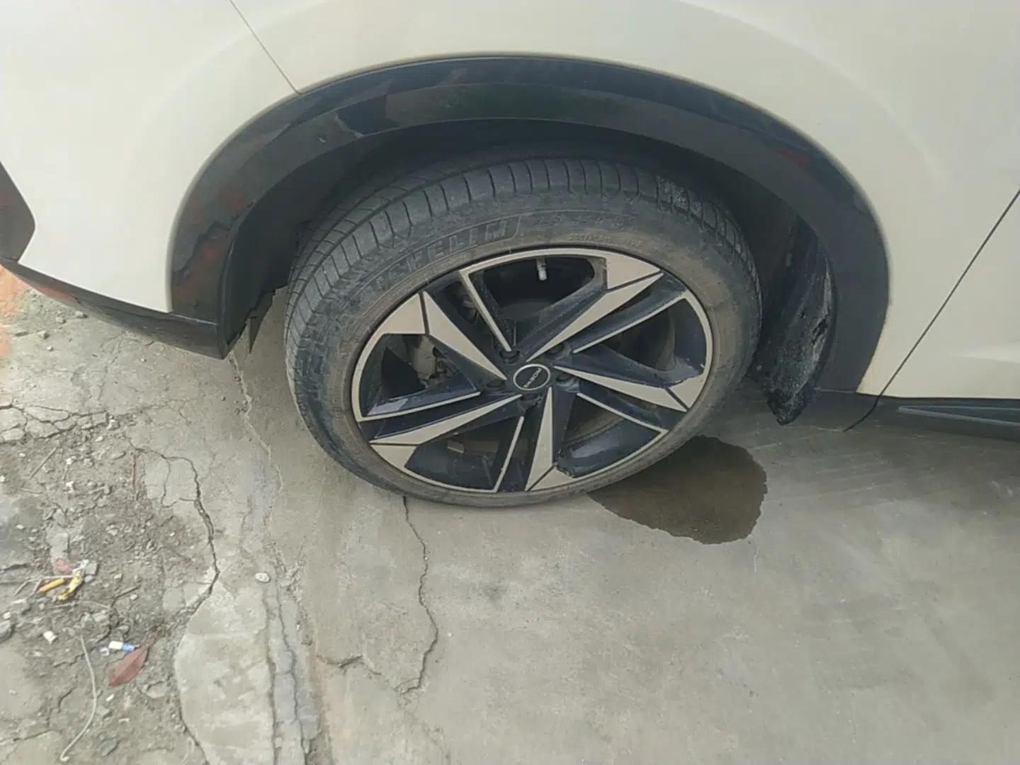 Roewe RX5 MAX 2022 1.5T Automatic Youwei Luxury Edition — миниатюра 15