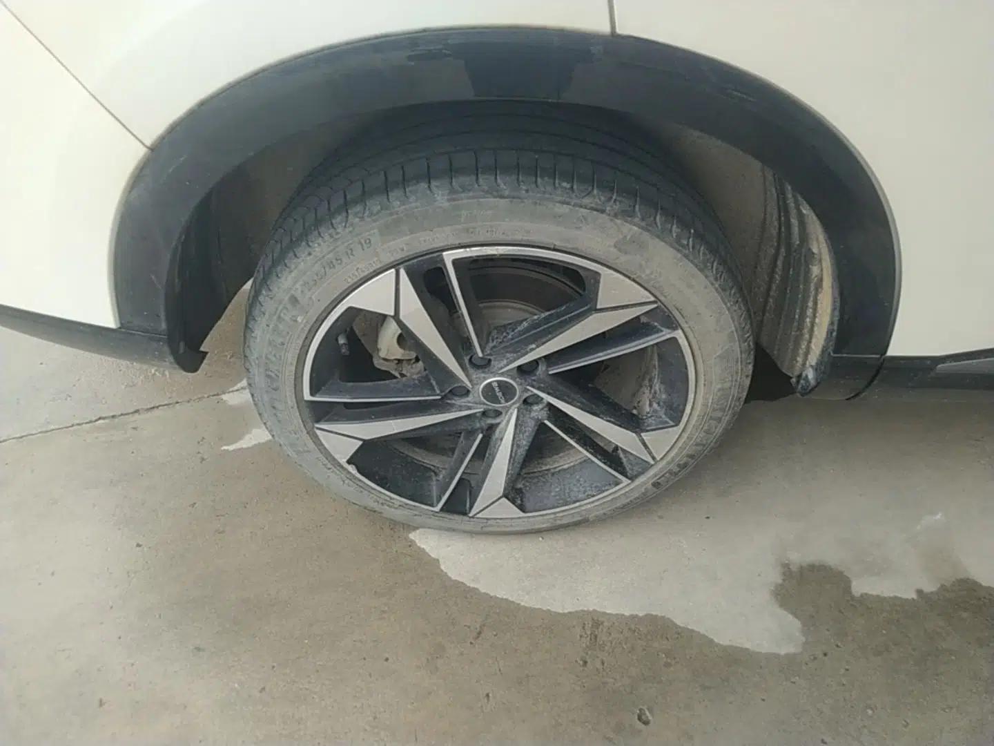 Roewe RX5 MAX 2022 1.5T Automatic Youwei Luxury Edition — миниатюра 16