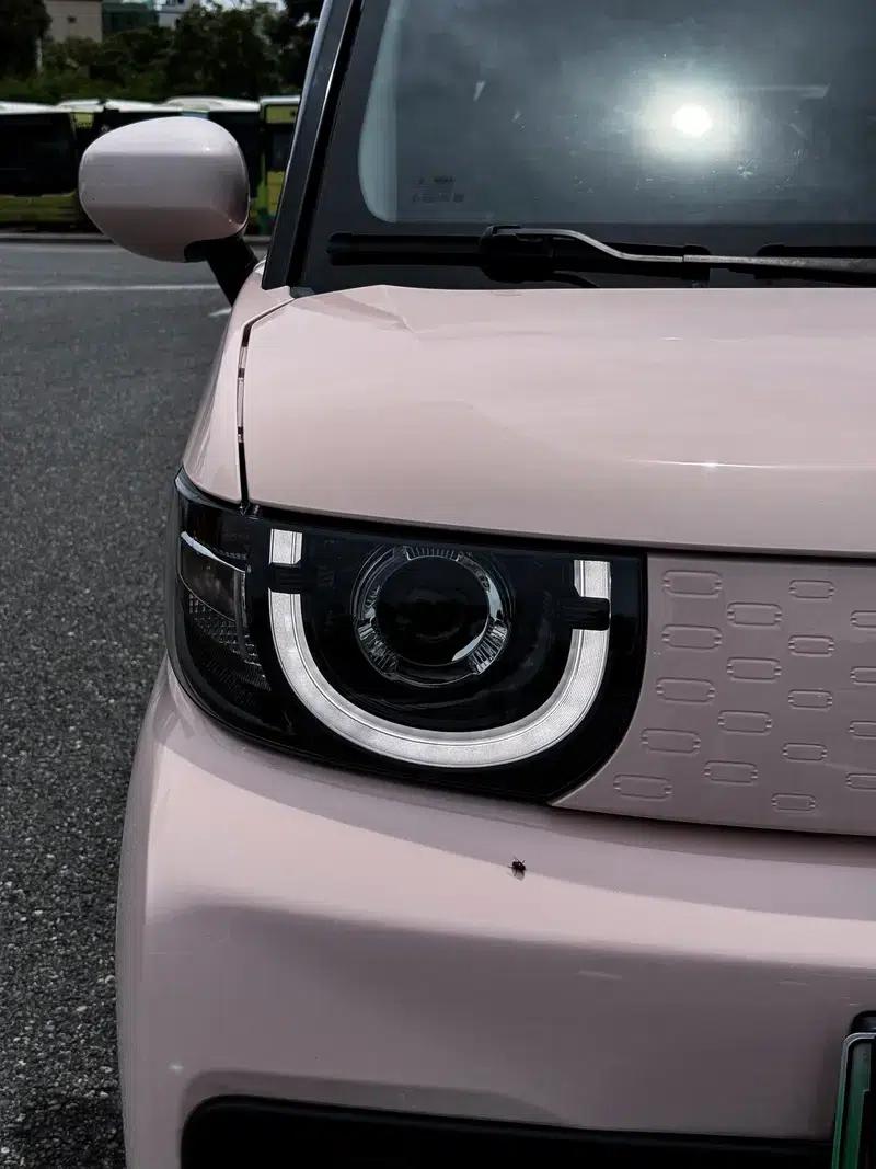 Ice Cream 2022 - Peach Delight (Peach Color) — миниатюра 6