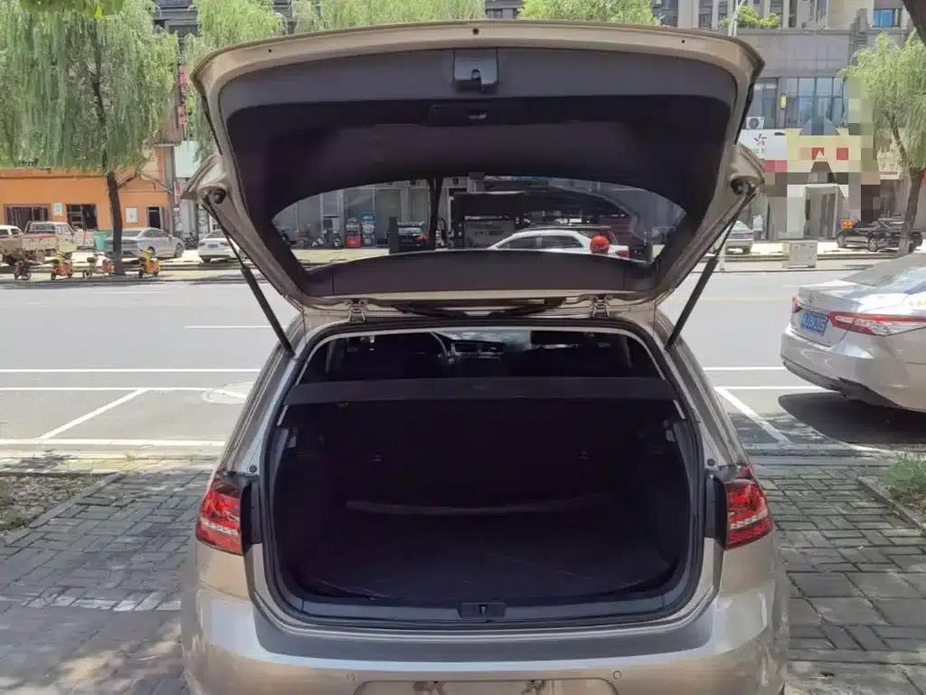 2017 Golf 1.6L Automatic Comfort Millionth Unit Commemorative Edition — миниатюра 19