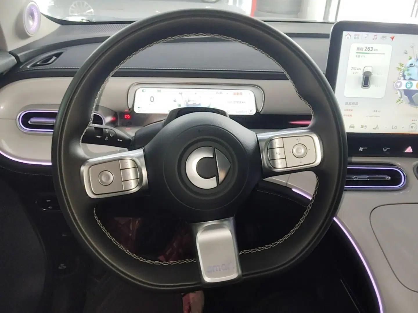 smart #1 2022 Premium Edition — миниатюра 13