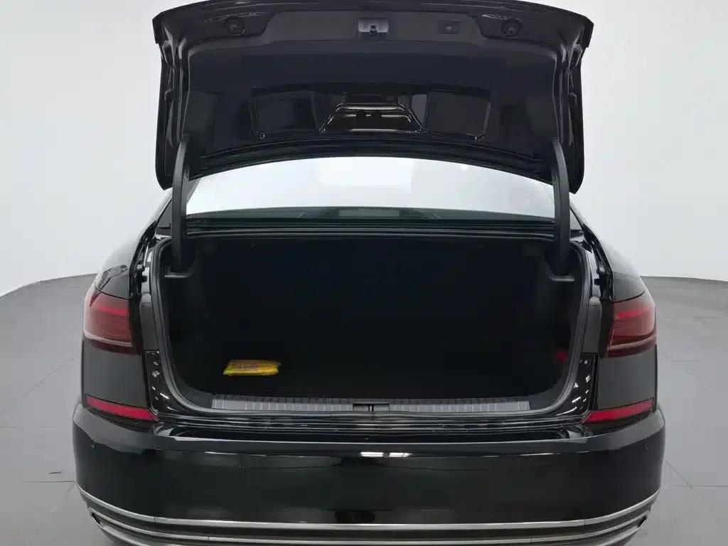2023 Passat Facelift 330TSI Starry Sky Luxury Edition — миниатюра 16