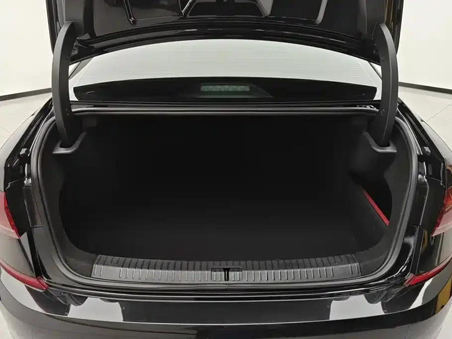 2023 Passat Facelift 330TSI Starry Sky Elite Edition — миниатюра 4