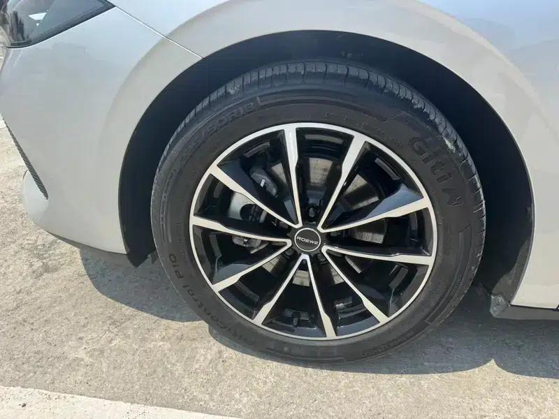 Roewe D7 DMH 2025 125 World Champion Excellence Edition — миниатюра 11