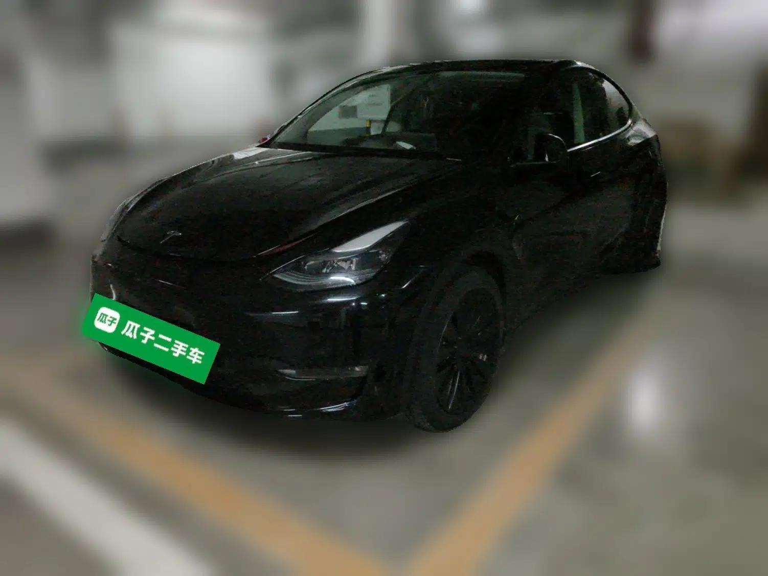Tesla Model Y 2021 Standard Range Rear-Wheel Drive Version — миниатюра 1