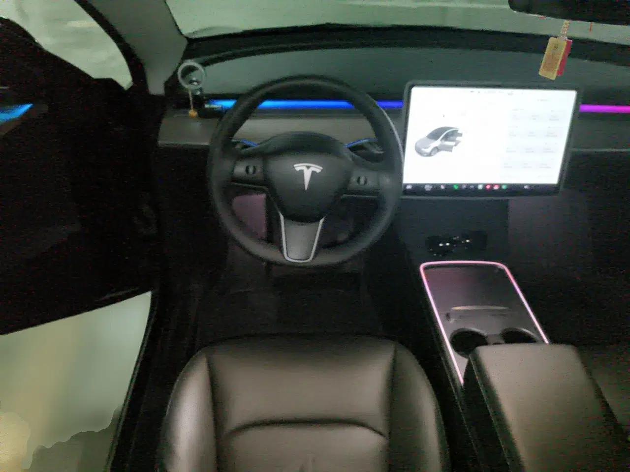Tesla Model Y 2021 Standard Range Rear-Wheel Drive Version — миниатюра 10