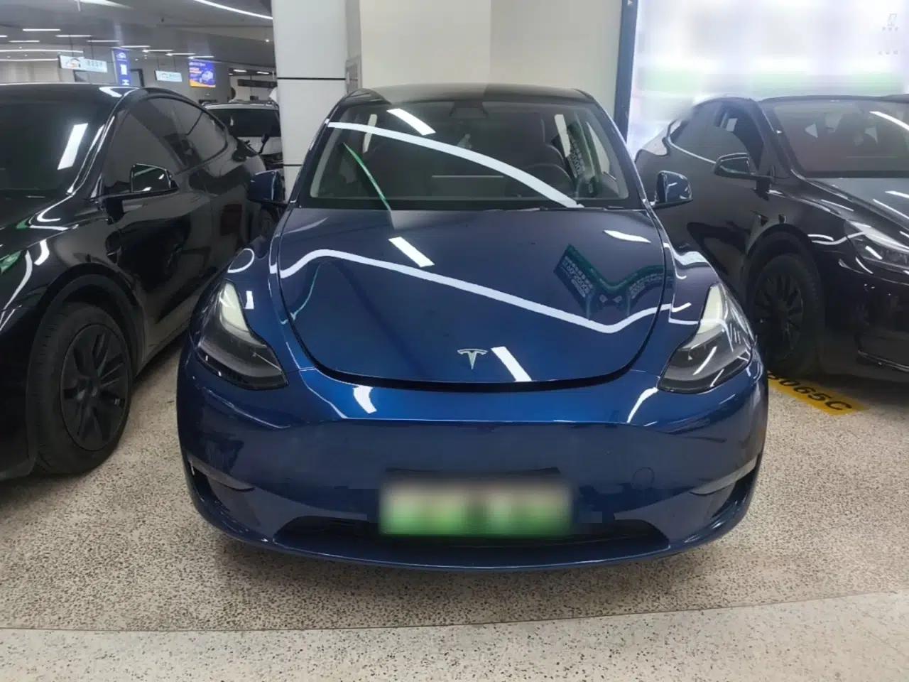 Tesla Model Y 2021 Standard Range Rear-Wheel Drive Version — миниатюра 2