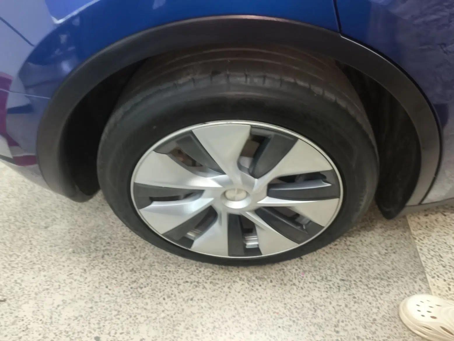 Tesla Model Y 2021 Standard Range Rear-Wheel Drive Version — миниатюра 11