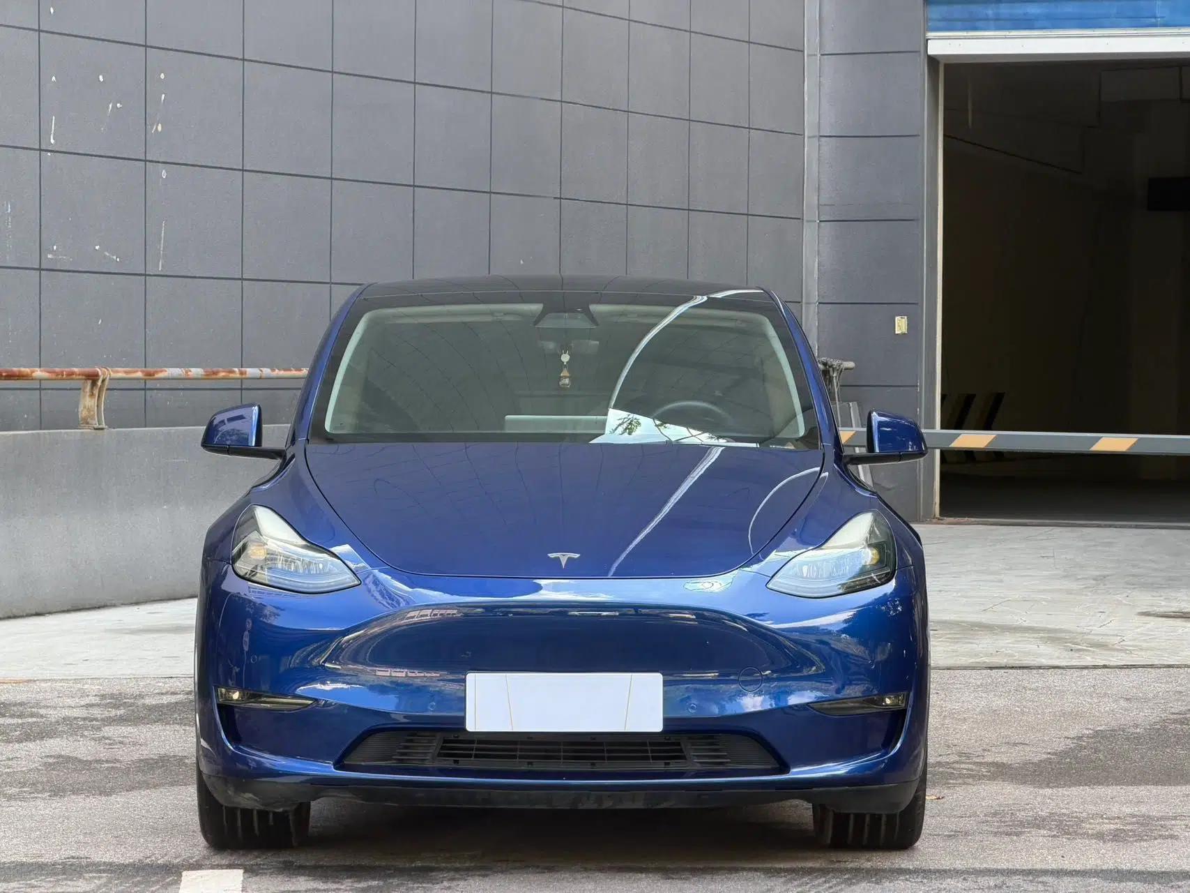 Tesla Model Y 2021 Standard Range Rear-Wheel Drive Version — миниатюра 15