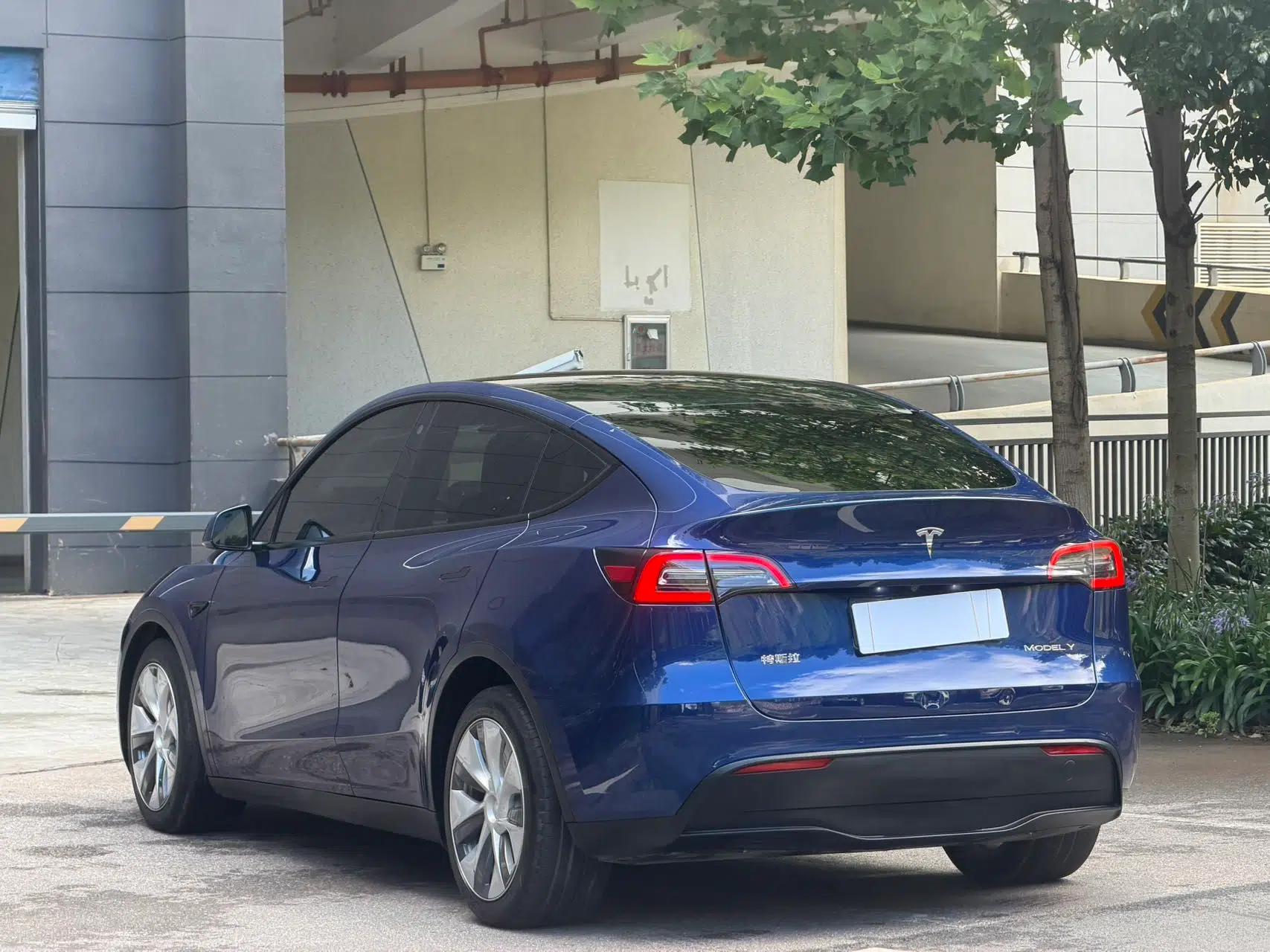 Tesla Model Y 2021 Standard Range Rear-Wheel Drive Version — миниатюра 19