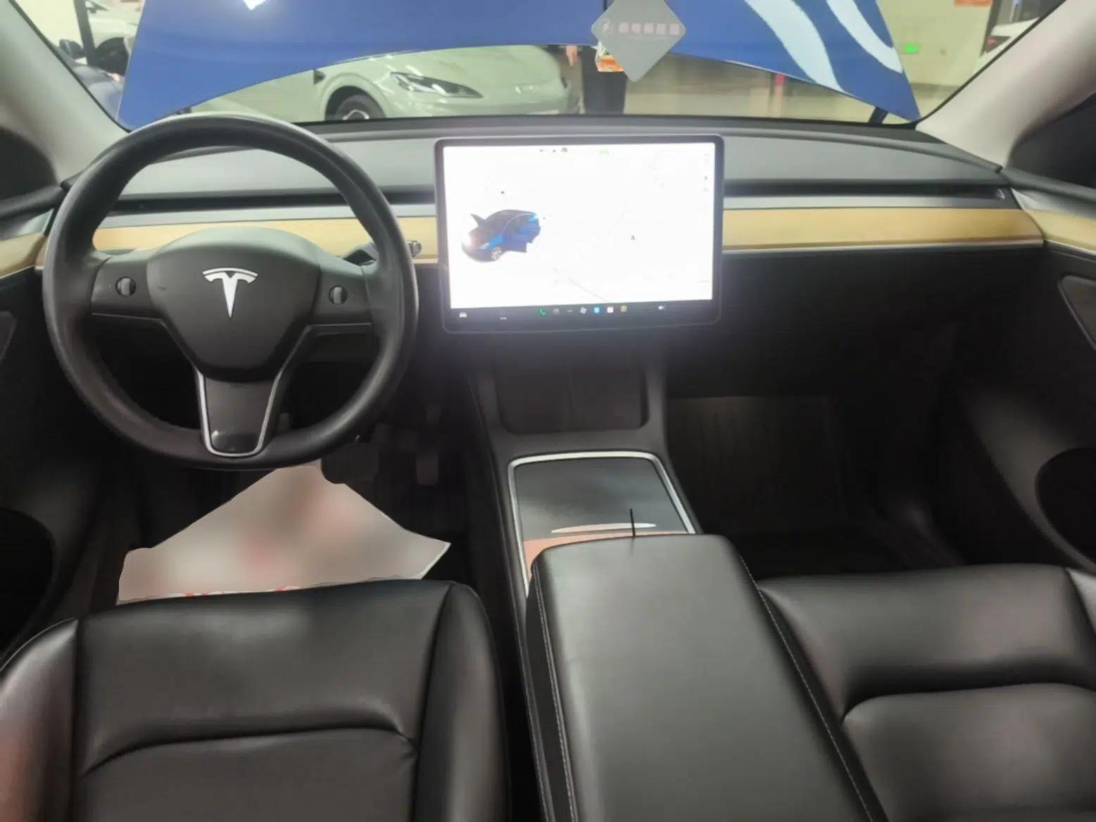 Tesla Model Y 2021 Standard Range Rear-Wheel Drive Version — миниатюра 20