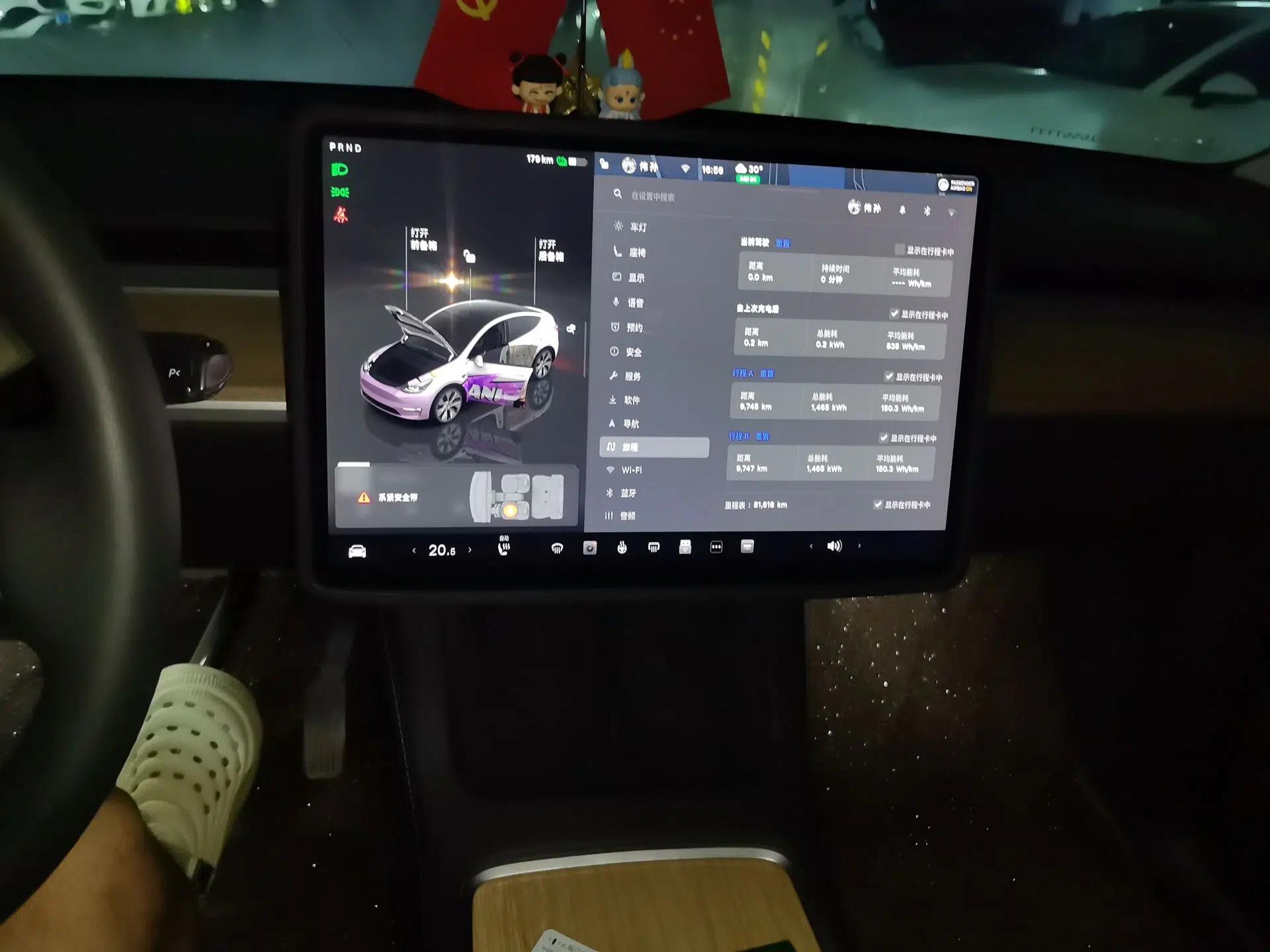 Tesla Model Y 2022 Revised Version Rear-Wheel Drive — миниатюра 13
