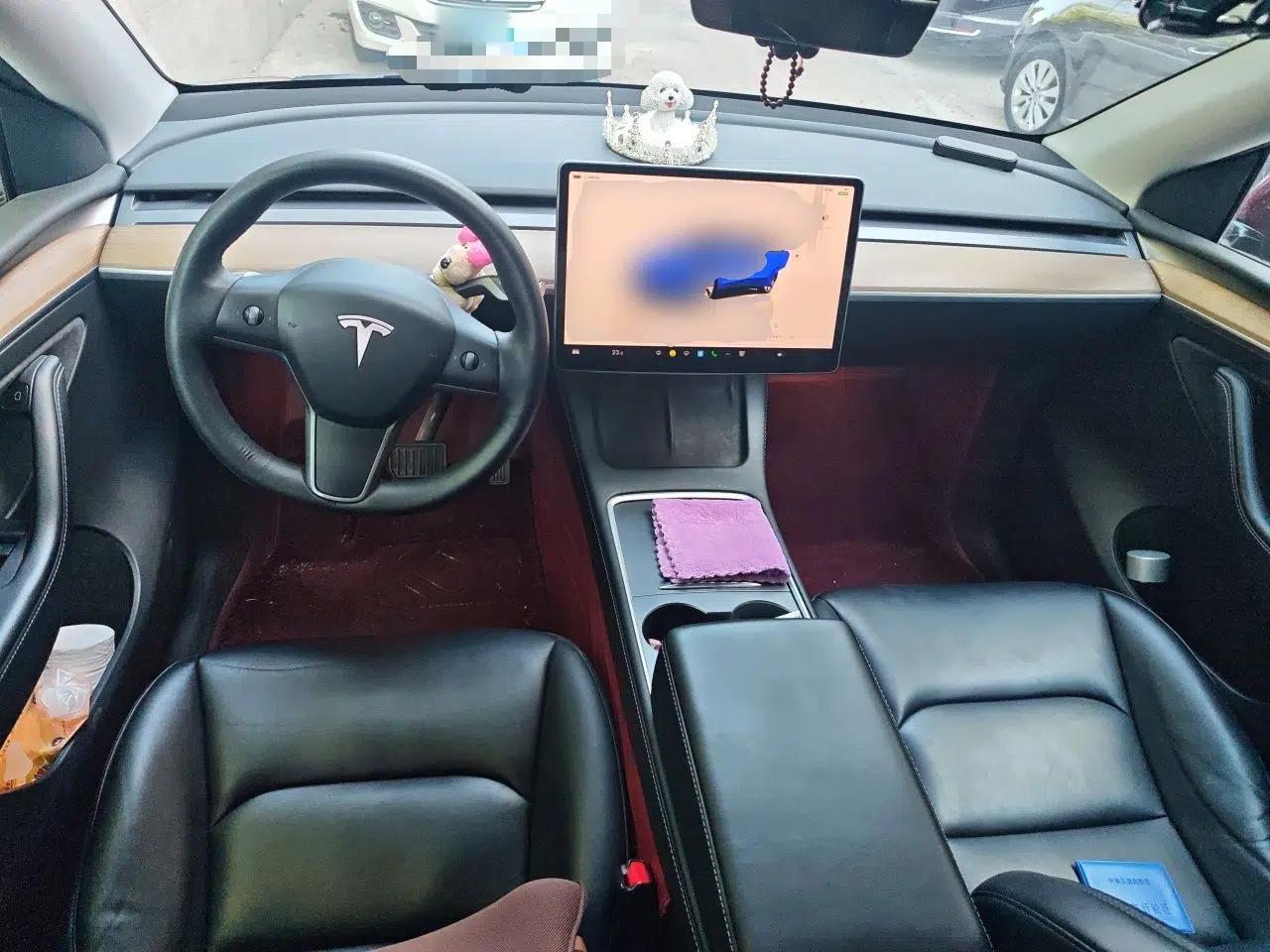 Tesla Model Y 2022 Rear-Wheel-Drive Version — миниатюра 9