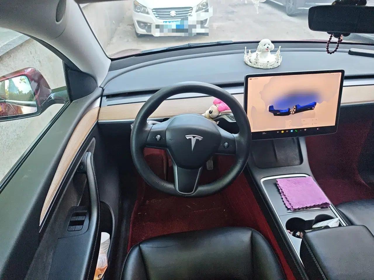 Tesla Model Y 2022 Rear-Wheel-Drive Version — миниатюра 10