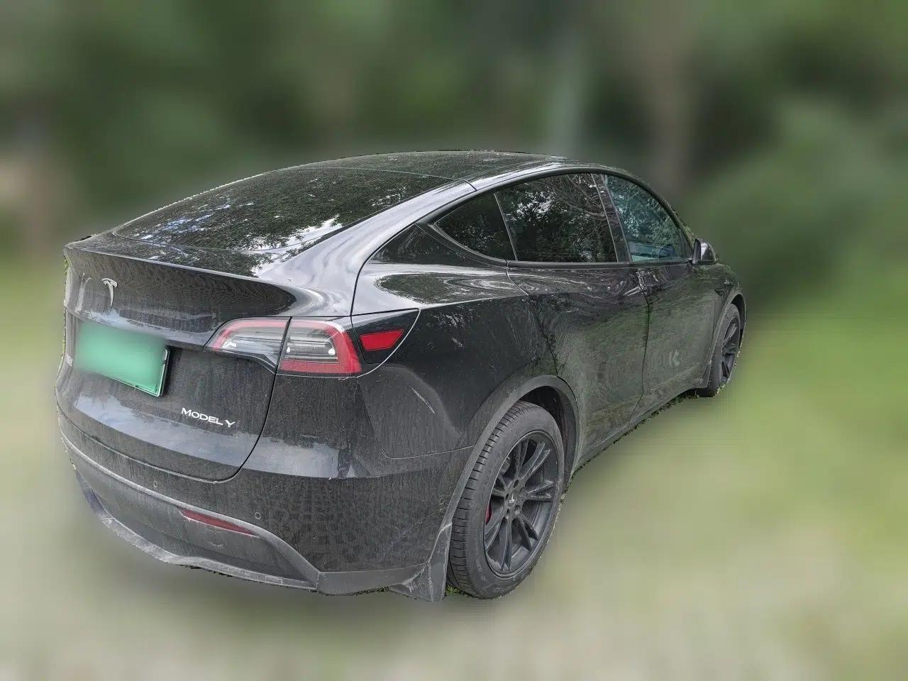 Tesla Model Y 2022 Rear-Wheel-Drive Version — миниатюра 6