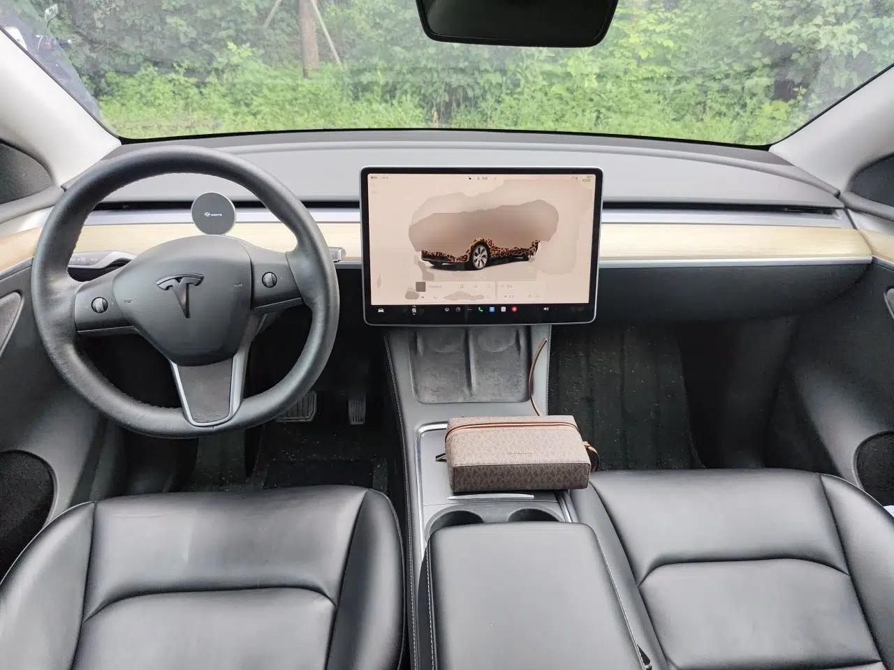 Tesla Model Y 2022 Rear-Wheel-Drive Version — миниатюра 9