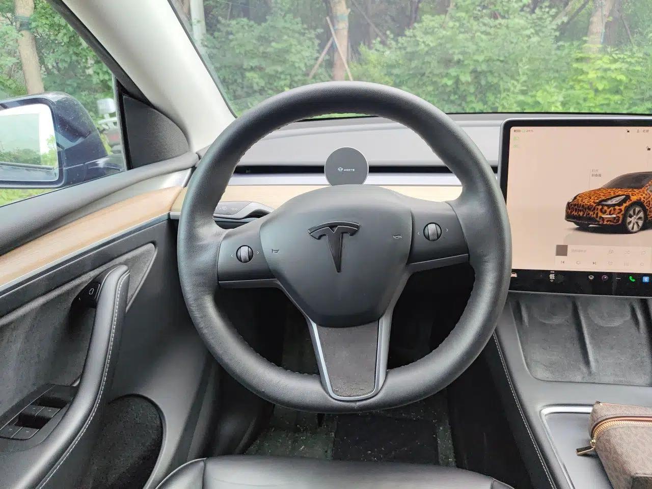 Tesla Model Y 2022 Rear-Wheel-Drive Version — миниатюра 10